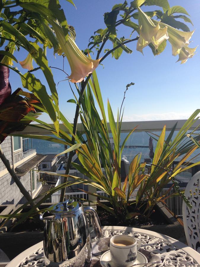 Donna'S Bed & Breakfast White Rock Bagian luar foto