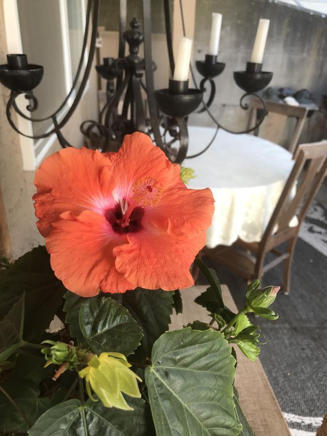 Donna'S Bed & Breakfast White Rock Bagian luar foto
